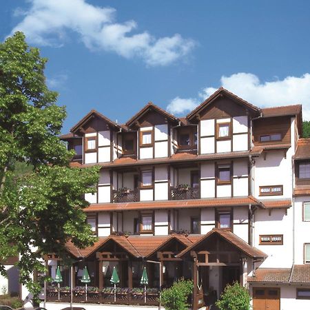 Blick Zum Maimont Hotel Ludwigswinkel Exterior foto